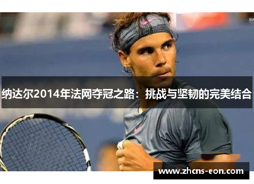 纳达尔2014年法网夺冠之路：挑战与坚韧的完美结合
