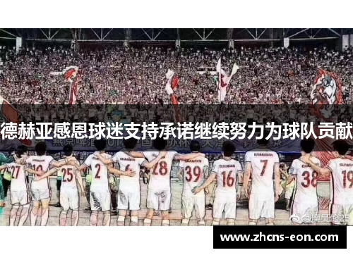 德赫亚感恩球迷支持承诺继续努力为球队贡献