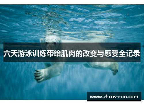 六天游泳训练带给肌肉的改变与感受全记录