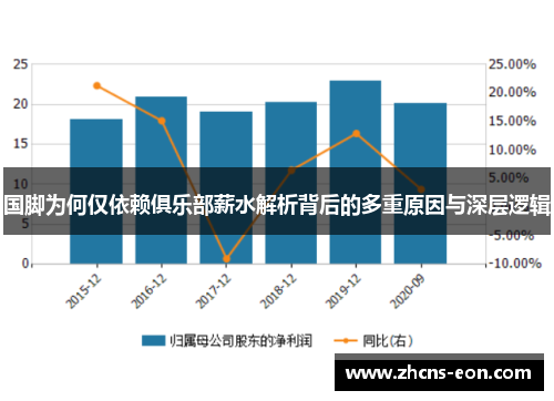 国脚为何仅依赖俱乐部薪水解析背后的多重原因与深层逻辑