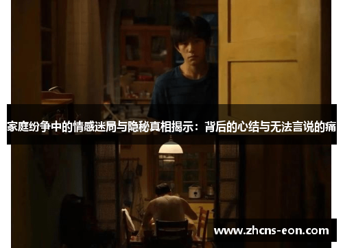 家庭纷争中的情感迷局与隐秘真相揭示：背后的心结与无法言说的痛