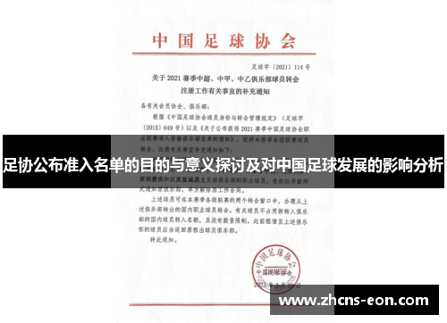 足协公布准入名单的目的与意义探讨及对中国足球发展的影响分析