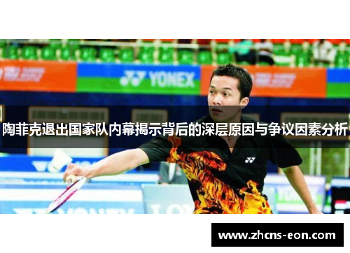 陶菲克退出国家队内幕揭示背后的深层原因与争议因素分析